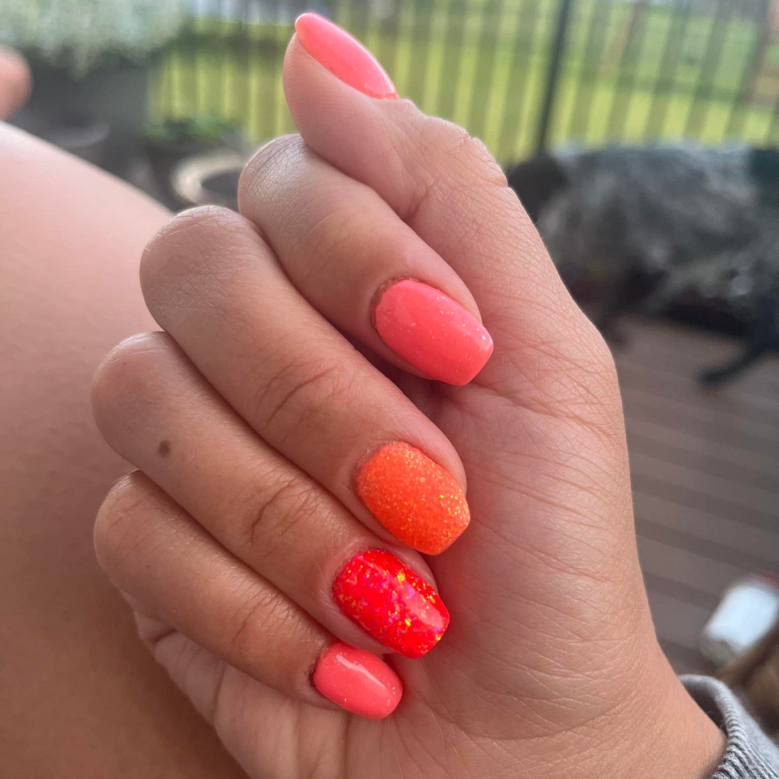 DOTD: Orange Outburst